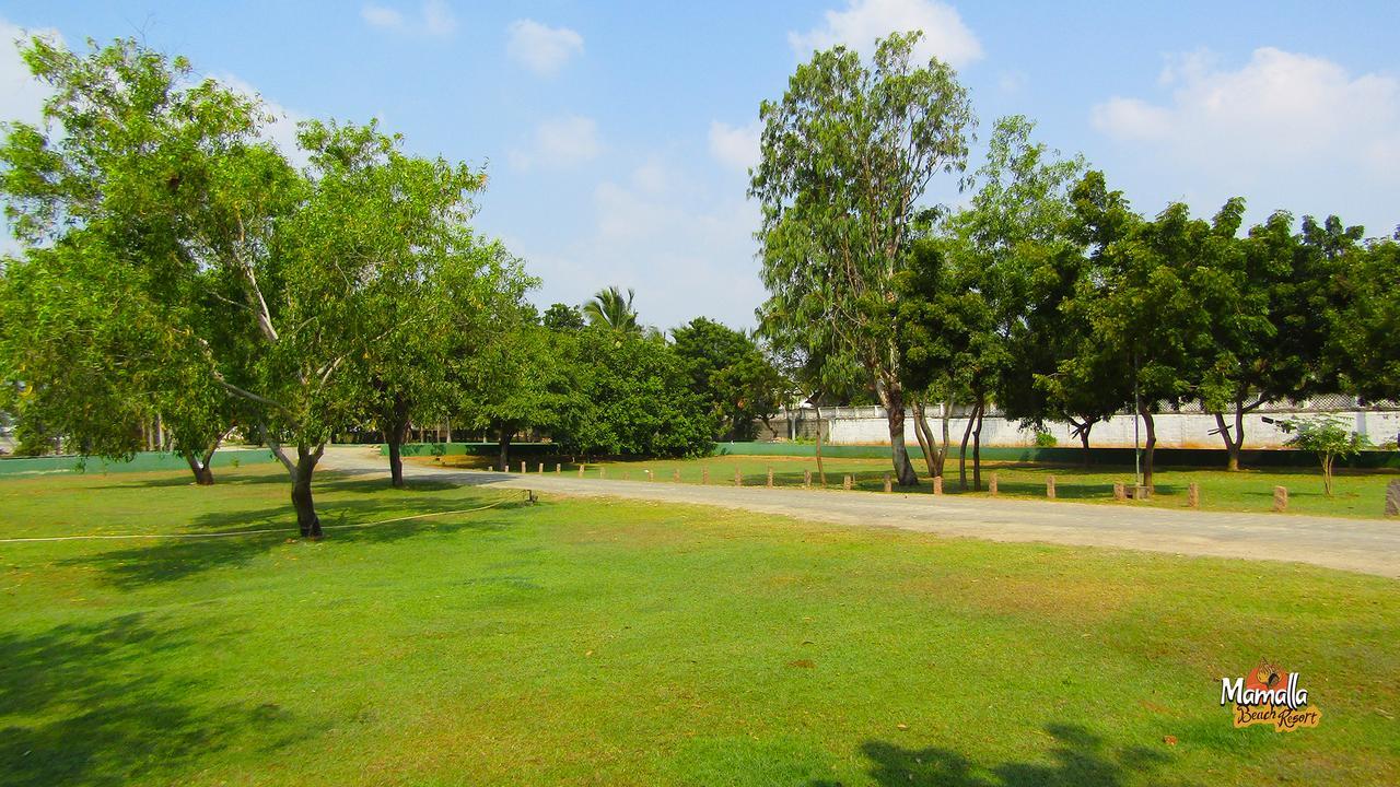 Mamalla Beach Resort Mahabalipuram Eksteriør bilde